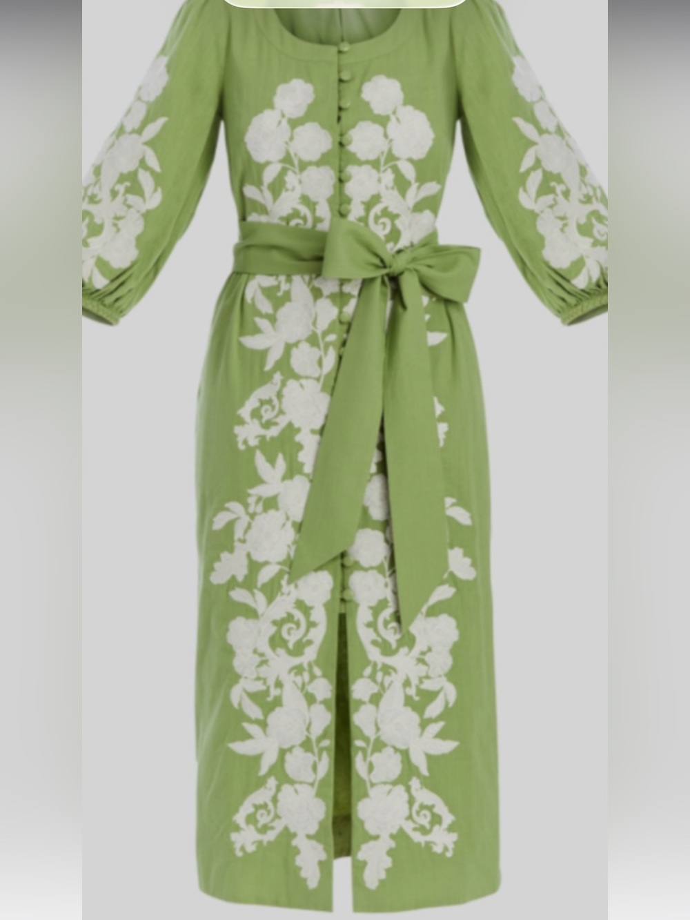 Mestiza Olive Green Embroidered Midi Dress - Picture 6 of 7
